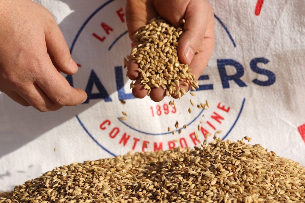 Malt Pilsen 2rp Les Maltiers
